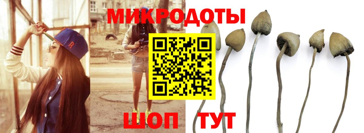 Псилоцибиновые грибы мухоморы  Вход с VPN  Кушва  где купить наркоту  Псилоцибиновые грибы мицелий 